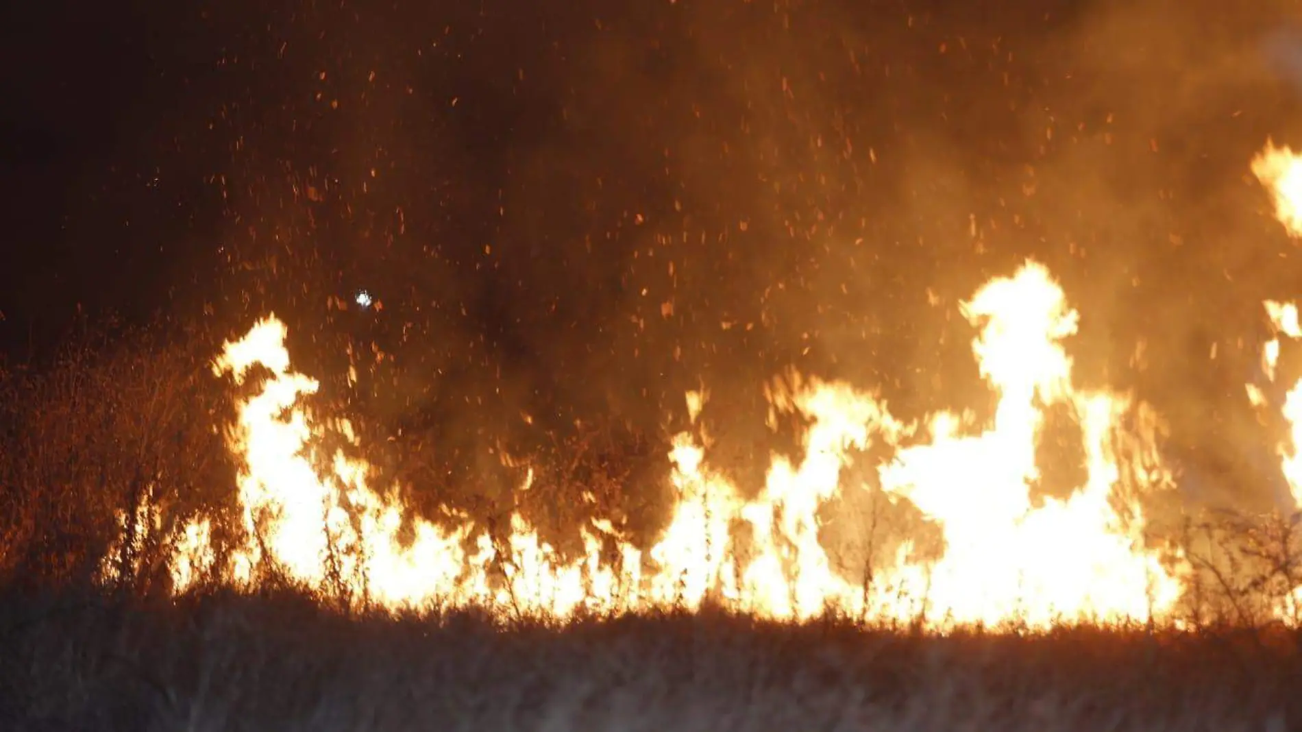 ILUSTRATIVAS INCENDIO PACAS (2)